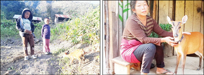 (Left) 5-year-old Medovizo Meyase and 6-year-old Rokovizo Terhüja with Ranger. (Right) Ranger and his caretaker Rotna (Photo Courtesy: Vemezolie Terhüja)